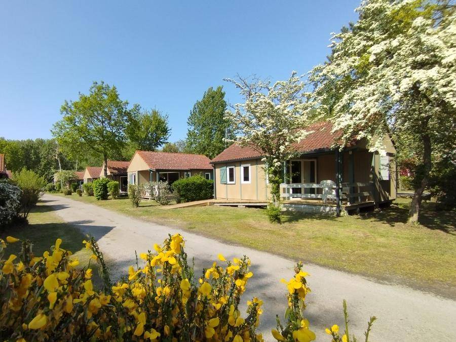 Rang-du-Fliers Ski Chalet | 32 m² Chalet ∙ 2 bedrooms ∙ 4 guests