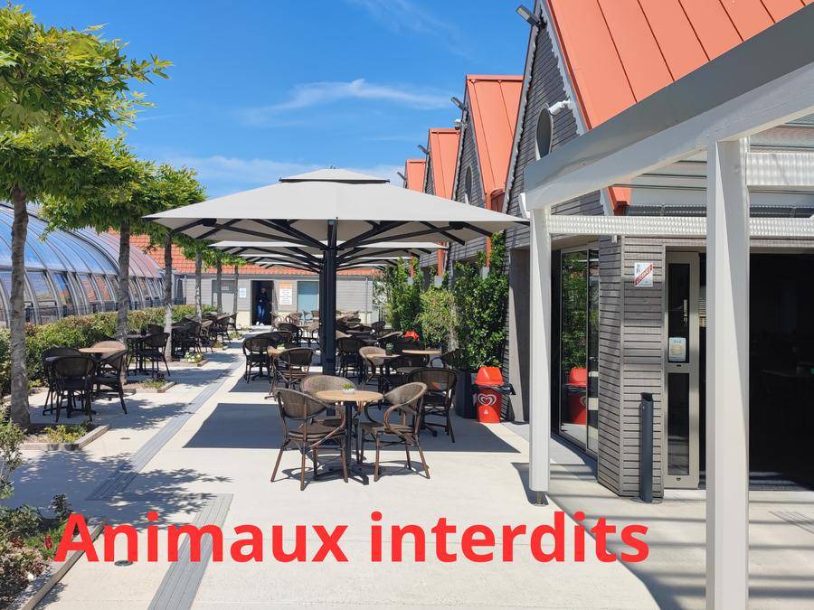 Le Crotoy House | 33 m² Mobile home ∙ 1 bedroom ∙ 6 guests