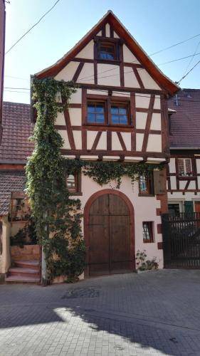 Bouxwiller Apartment | 35 m² Apartment ∙ 1 bedroom ∙ 2 guests