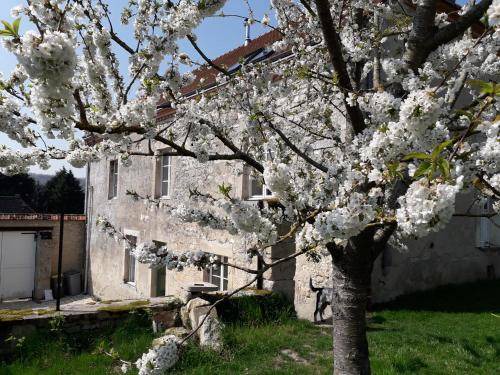 Revillon Bed & Breakfast | 38 m² Bed and breakfast ∙ 4 guests