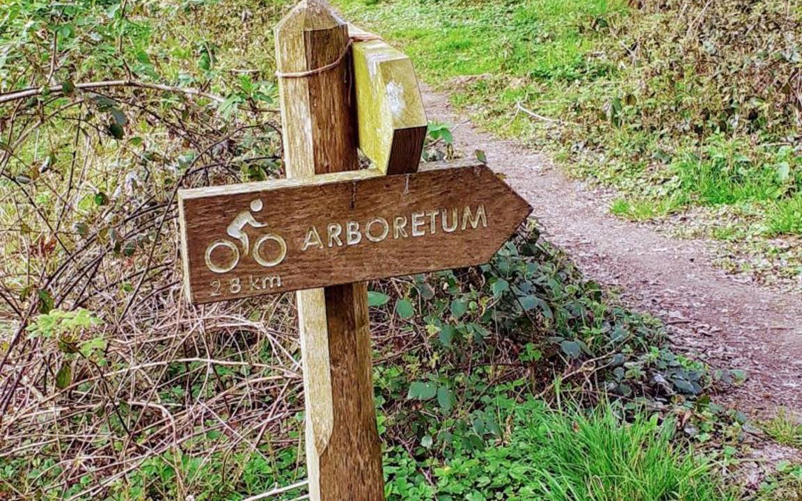 Preux-au-Bois Cottage | 40 m² Cabin ∙ 1 bedroom ∙ 3 guests