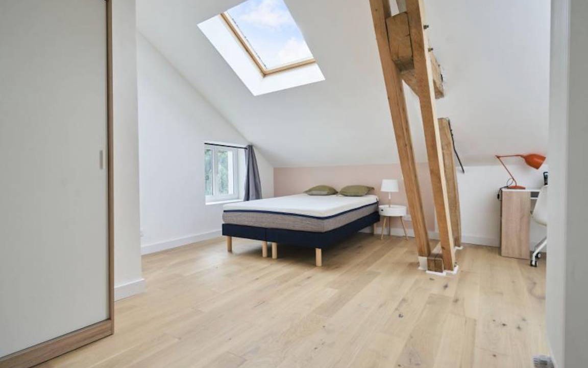 Loos Resort | 613 m² Private room ∙ 1 bedroom ∙ 1 guest