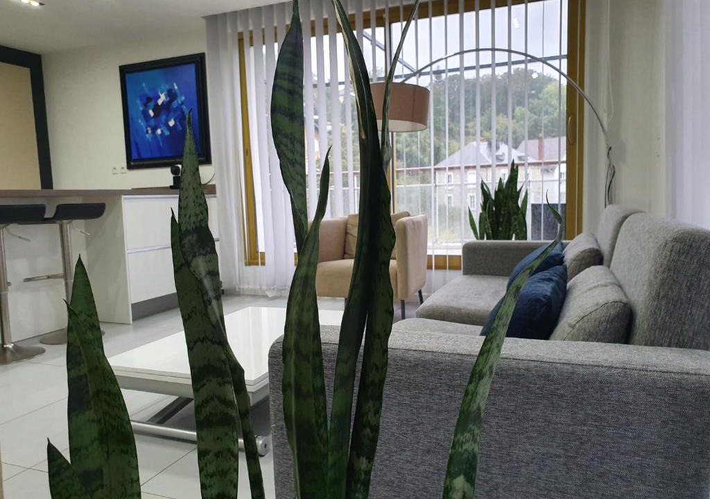 Besancon Apartment | Appart'Hôtel Luxapparts