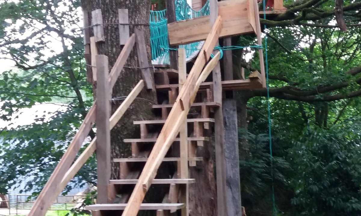 Saint-Thomas-de-Courceriers House | Cabane Dans Les Arbres - Le Nid Dans Le Chêne