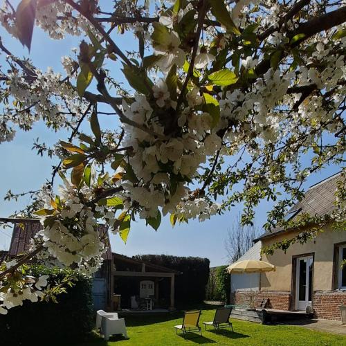 Frettecuisse Bed & Breakfast | Chambre d'hote Frettecuisse