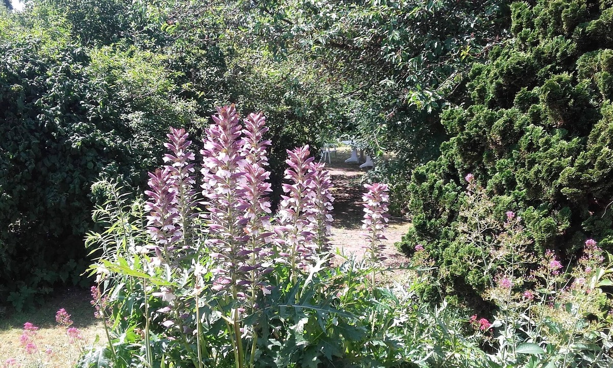 Saint-Aubin-Les-Elbeuf Bed & Breakfast | Chambre du Jardin Fleuri