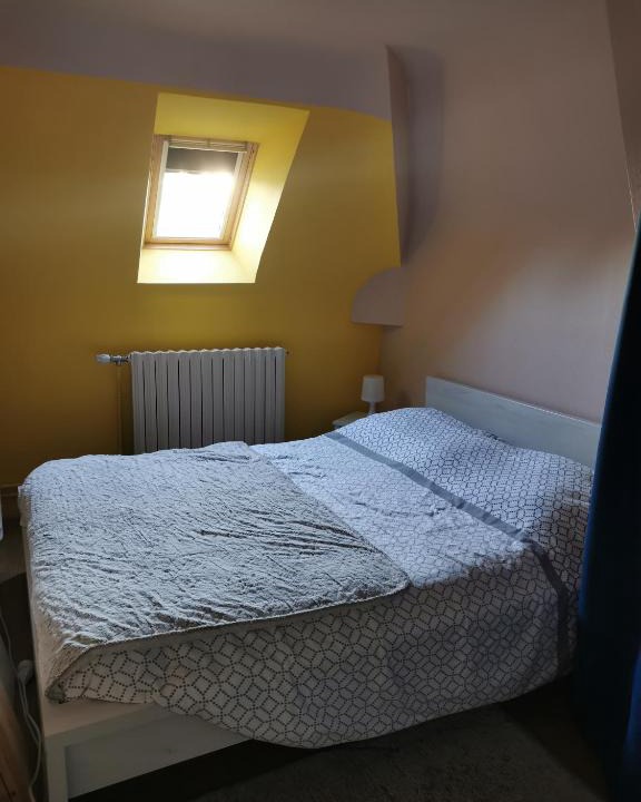 Montbizot Bed & Breakfast | CHAMBRE LIT DOUBLE