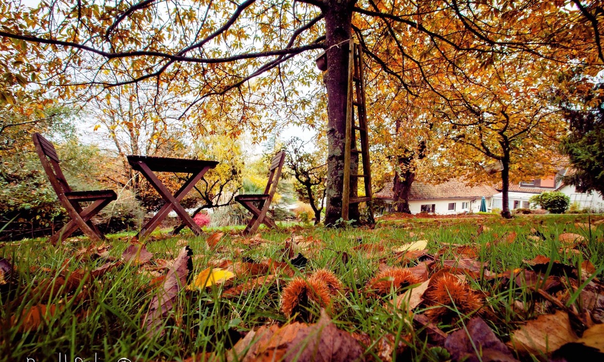 Marenla House | Charming & Cozy Cottage in Cote d'Opale & 7 Valleys