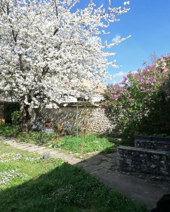 Soisy-sur-Ecole Apartment | Chez Marylene