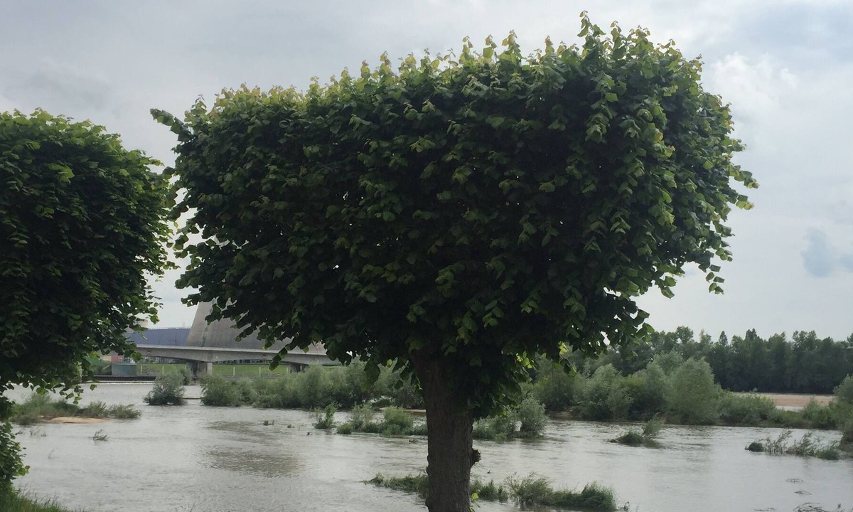 Neuvy-sur-Loire House | Double studio, near the Belleville power station on the banks of the Loire.