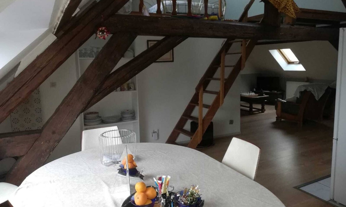 Ecuelles Apartment | ENTRE VIGNES ET RIVIERES: an ideal gite for families visiting the BFC region