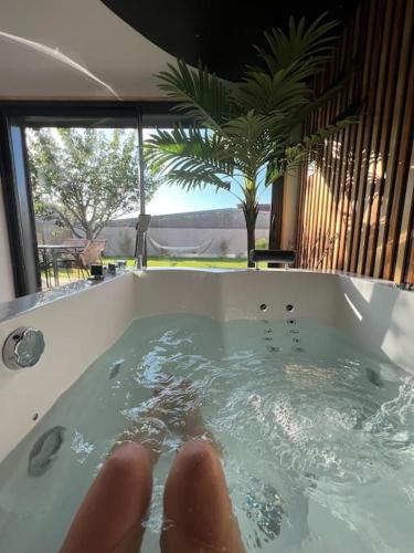 Loon-Plage Villa | ESCAPE ZEN Oasis tropicale & Spa privatif