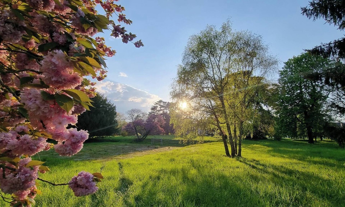 Benais House | Exceptional pavilion with direct access to the grounds of the Château Royal de Benays