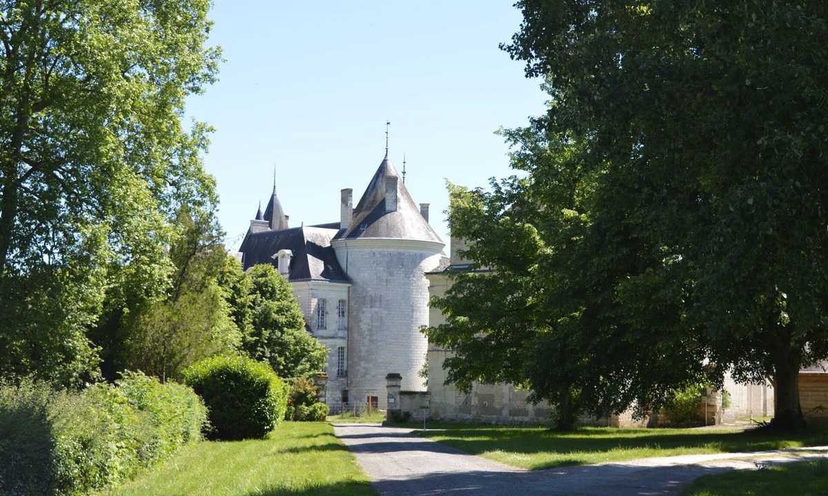La Chapelle-Blanche-Saint-Martin House | Profitez de la Touraine Dans un Cadre Dexception