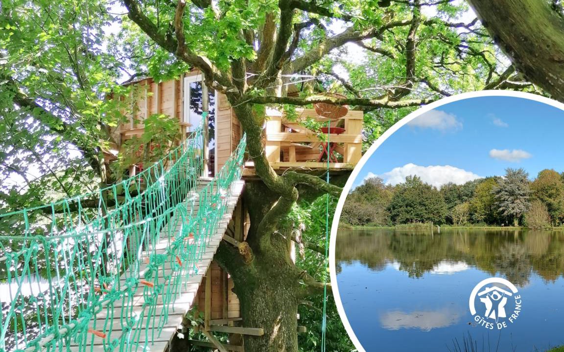 Saint-Thomas-de-Courceriers Bed & Breakfast | 14 m² Bed and breakfast ∙ 1 bedroom ∙ 2 guests