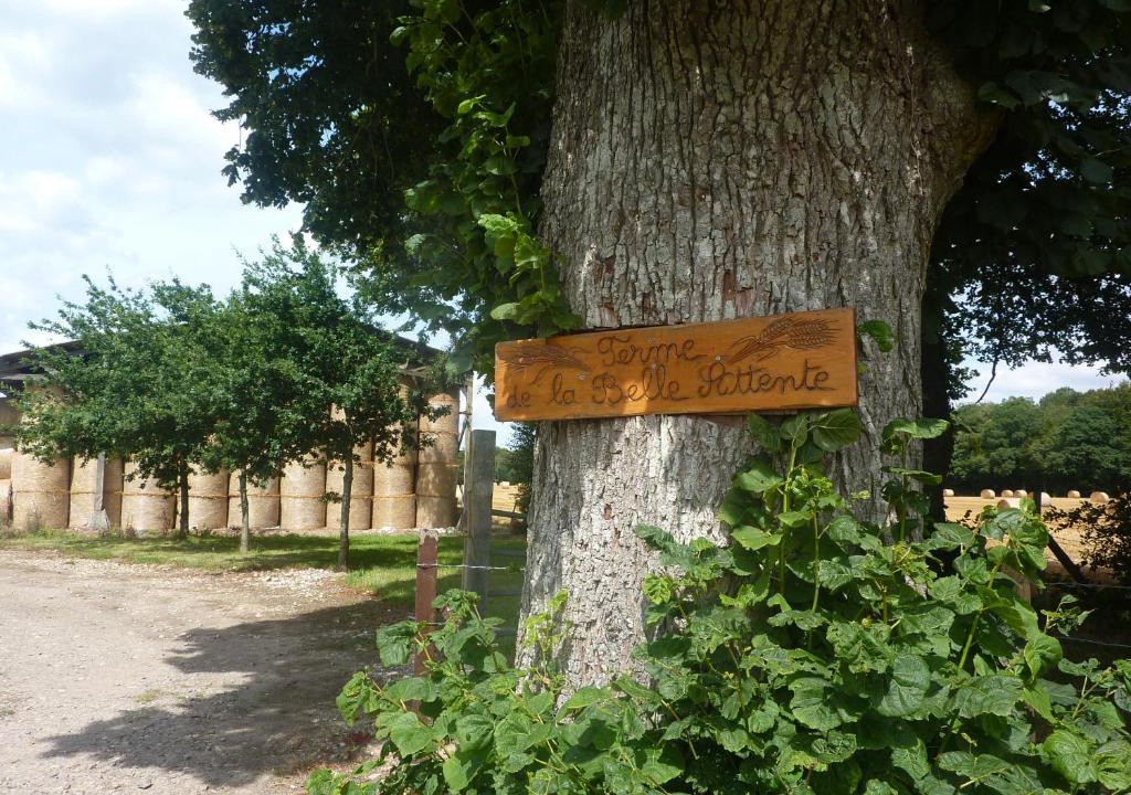 Aubeguimont House | Gîte de la belle attente