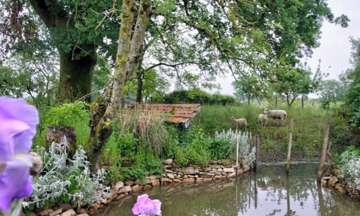 Saint-Didier-d'Aussiat House | Grand Gite Bressan, 1h Nord de Lyon, au Coeur de L'axe Mâcon- Bourg en Bresse