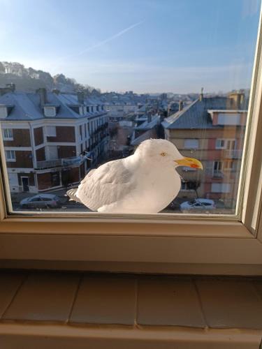Saint-Valery-en-Caux Apartment | L'amoureuse