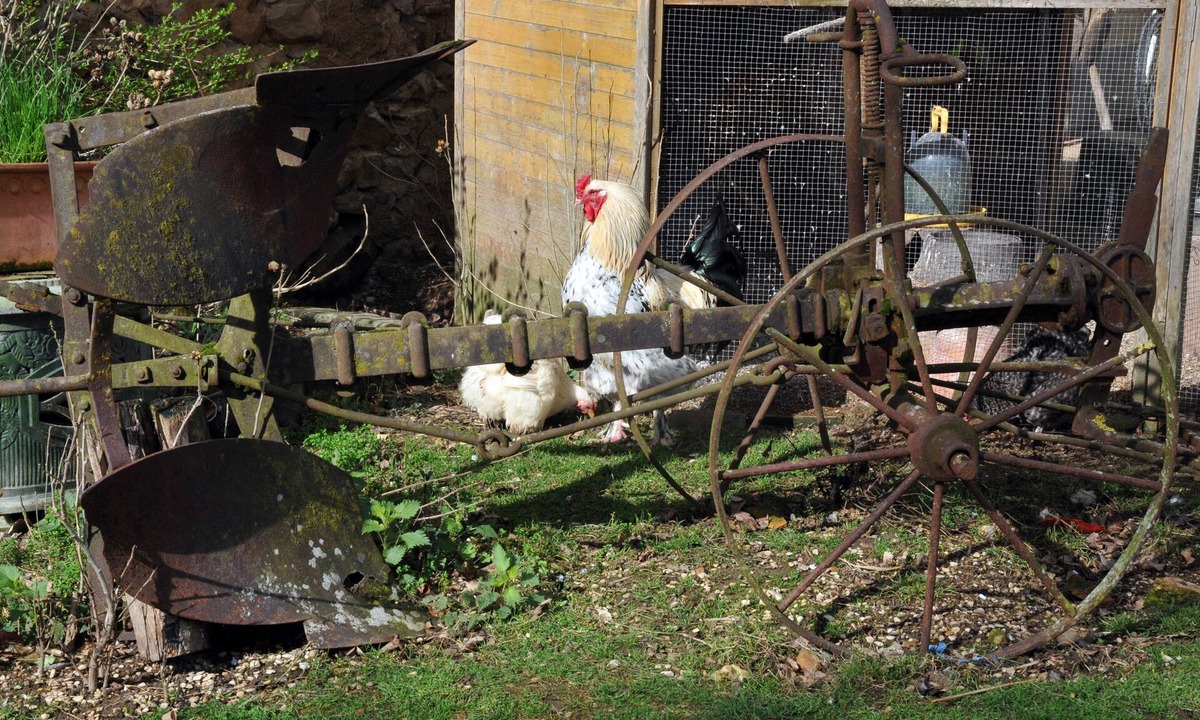 Evry Other | La Ferme de Flo' - Cochon - Double ou Twin Confort