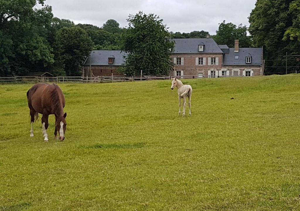 Saint-Riquier Bed & Breakfast | La Tilia