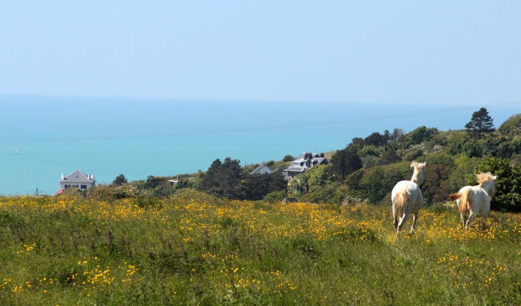 Dieppe Ski Chalet | LOGT VUE MER AVEC TRAMPOLINE ET PONEY le long du GR