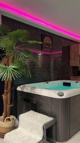 Landrethun-le-Nord House | Murano Gold Gîte avec SPA & SAUNA Privatif