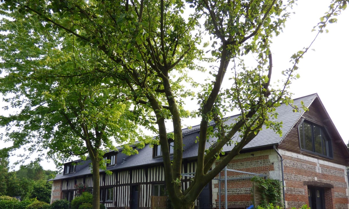 Criquetot-lʼEsneval Cottage | Nature & Compagnie. Comfortable cottage. in Normandy, quiet and close to a village