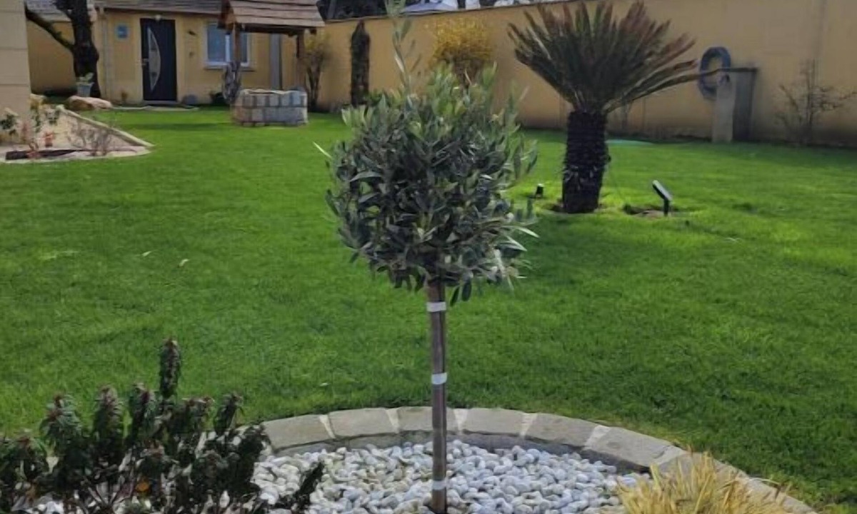 Precy-sur-Marne Apartment | Petite Dépendance Privée