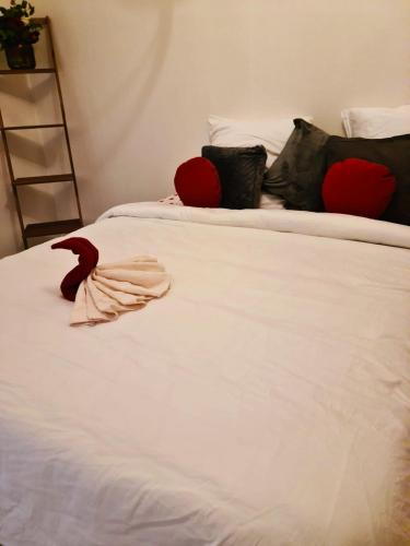 Stains House | Suite MaryMe