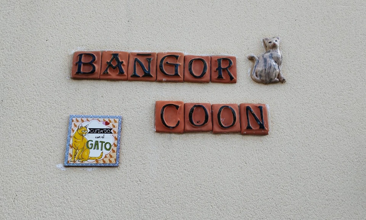 Forges Apartment | The Bangor Coon Apartment Liouba