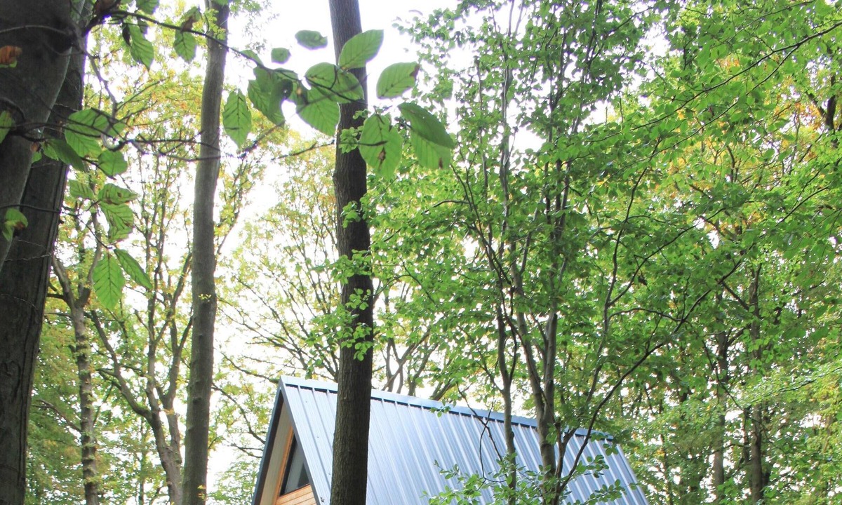 Ruminghem Apartment | The chalet of wood Ruminghem