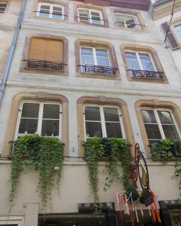 City-Centre - Petite France Apartment | Unik's Home & Terraza