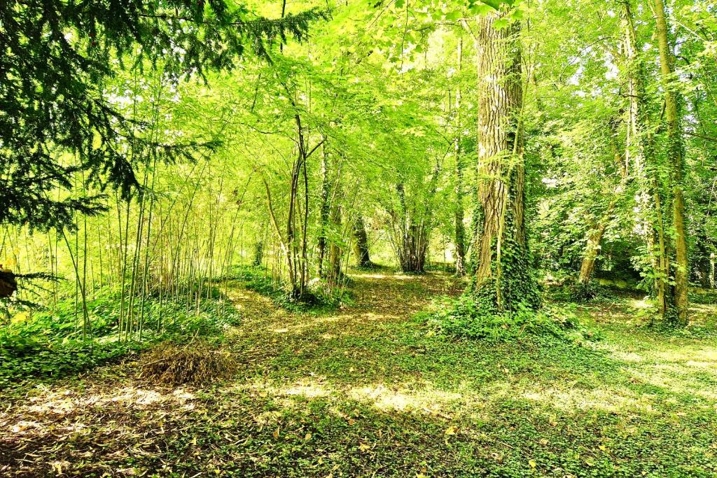 Claye-Souilly Villa | VILLA EDOUARD - 180m2 in nature & forest - 20min Disney - 7min airport