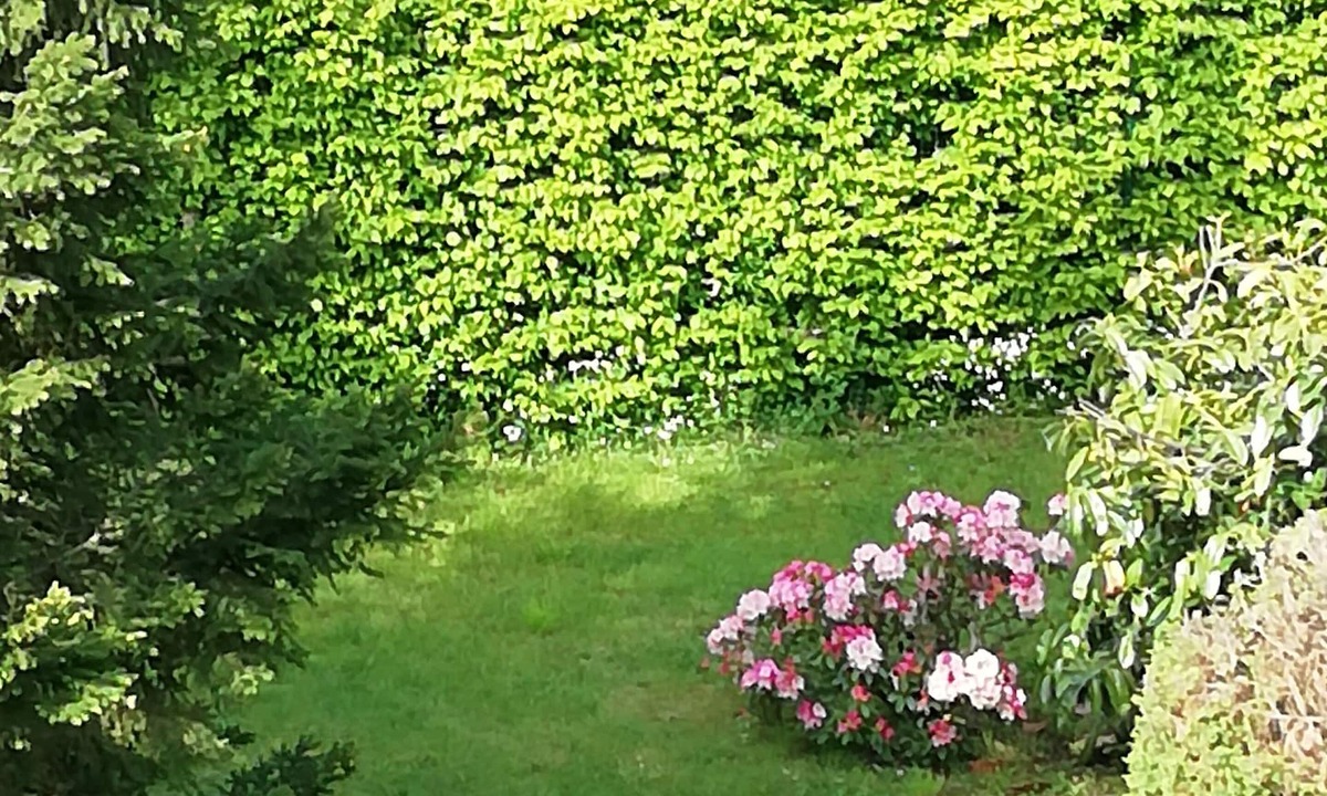 Saint-Michel-Tubœuf Hostel | Villa Maëlla - Chambres d’hôtes