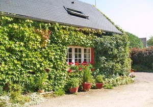 39 m² House ∙ 1 bedroom ∙ 2 guests