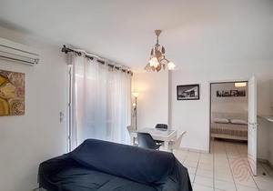Appartement F2 avec terrasse, clim, parking privé, proche centre-ville et thermes, animaux acceptés - FR-1-451-135
