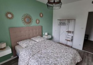 Appartement Jungle- hypercentre -Charleville