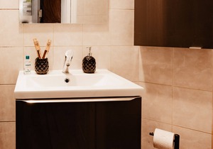Apt 101 - Studio-Ensuite with Shower