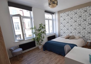 Charming furnished townhouse 106m² in Lille