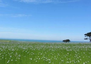 Holiday house Quiberville for 1 - 6 persons with 3 bedrooms - Holiday house