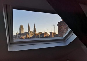 Le nid de Rouen