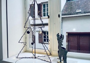 Loft Saint Thomas - Petite France