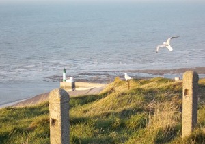 rest and tranquility 5 minutes from the sea near the natural reserve of gi