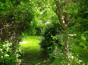 Un Petit Coin De Paradis | Clairfontaine