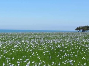 Holiday Quiberville Persons Bedrooms | Quiberville