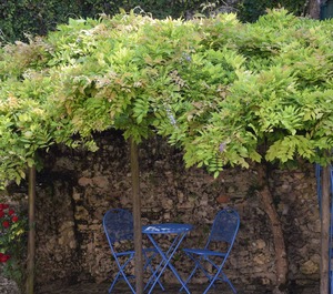 Gîte Volets Bleus 