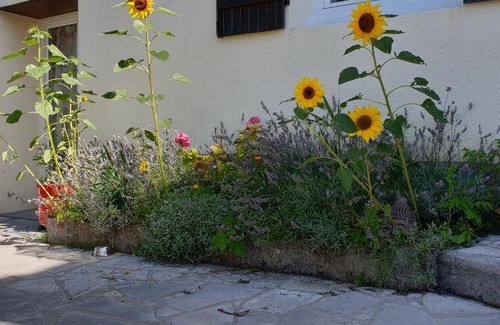 Montivilliers Bed & Breakfast | 150 m² Bed and breakfast ∙ 1 bedroom ∙ 2 guests