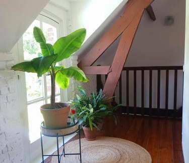 Machiel Bed & Breakfast | 20 m² Bed and breakfast ∙ 2 guests