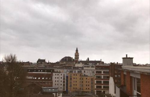Lille Centre Ville Apartment | 21 m² Apartment ∙ 1 bedroom ∙ 2 guests