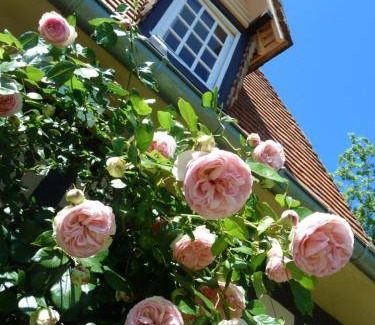 Glos-sur-Risle Bed & Breakfast | 27 m² Bed and breakfast ∙ 2 guests
